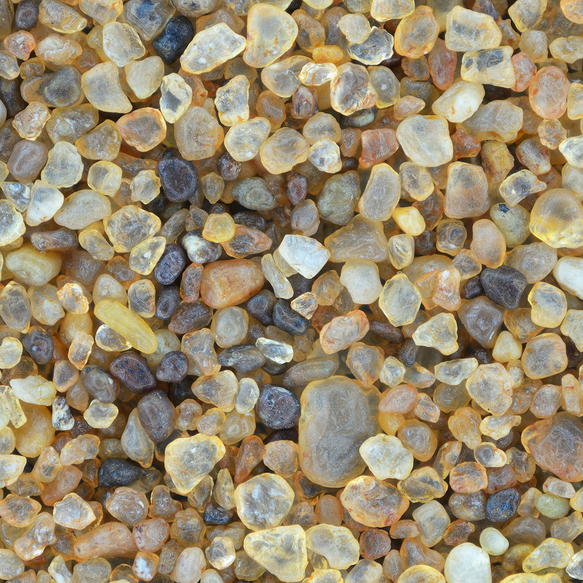 CaribSea