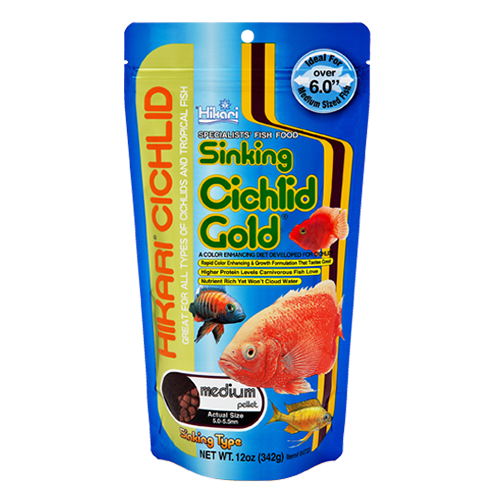 Sinking Cichlid Gold Medium - Image 2