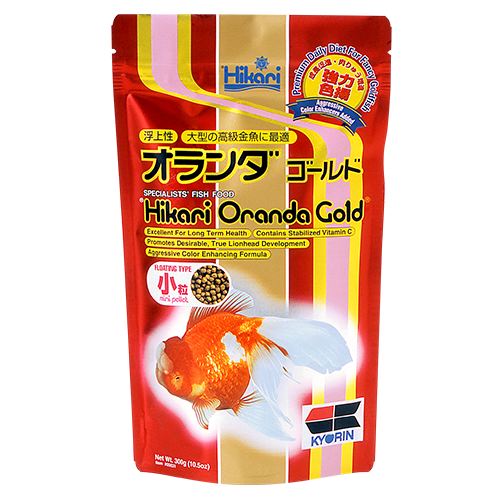 Oranda Gold Mini - Image 2