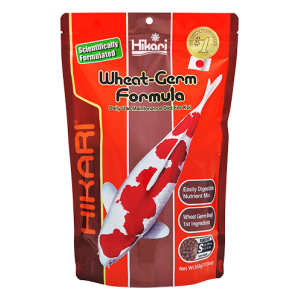 Wheat Germ Mini A Dry Food From Hikari For Koi