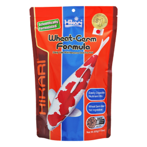 Wheat Germ Medium A Dry Food From Hikari For Koi