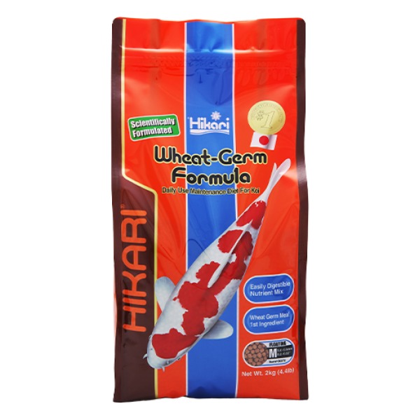 Wheat Germ Medium A Dry Food From Hikari For Koi