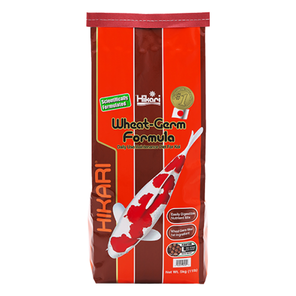 Wheat Germ Large A Dry Food From Hikari For Koi
