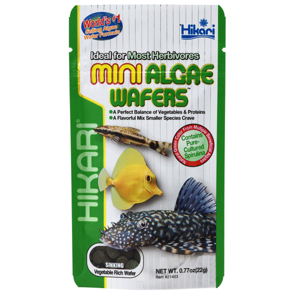 Mini Algae Wafers A Dry Food From Hikari For Freshwater