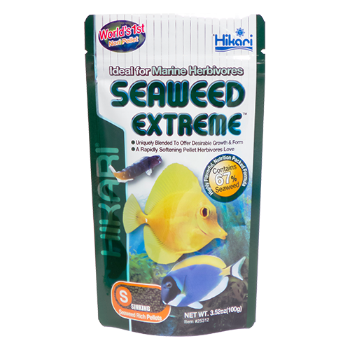 Seaweed Extreme Small - Image 2