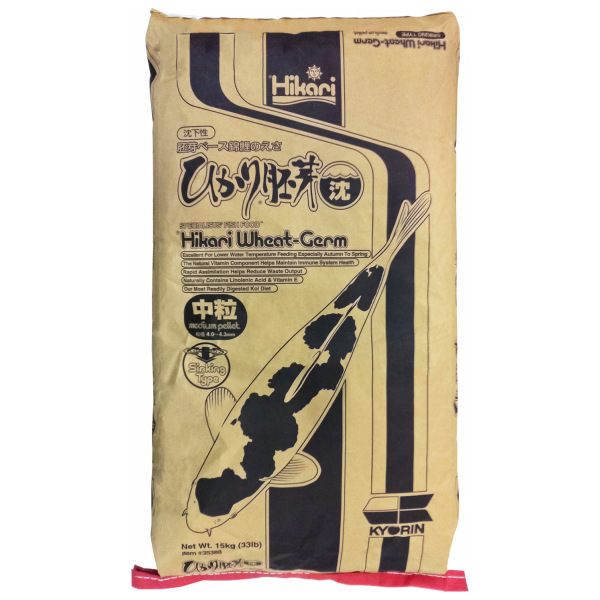 Sinking Wheat Germ Medium A Dry Food From Hikari For Koi