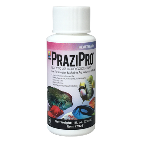 Prazipro Parasite Treatment by Hikari