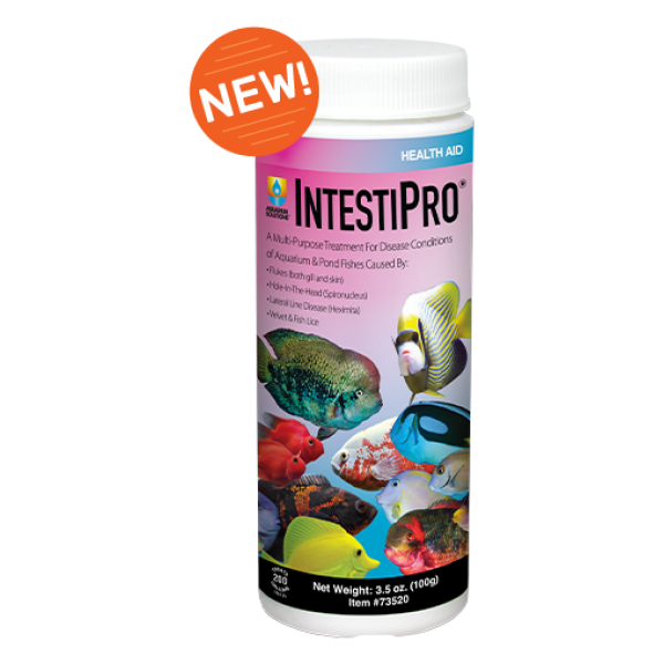Hikari 3.5 oz Pest Removal - Ultimate care for Freshwater & Saltwater aquariums