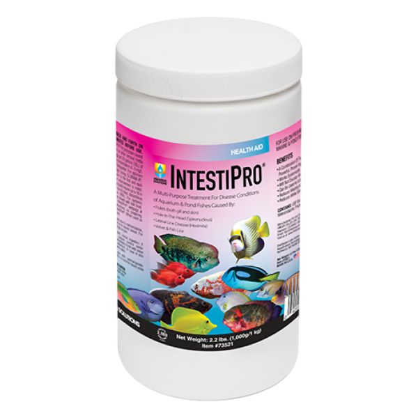 Hikari Interstipro 2.2 lbs - Effective quarantine & pest removal for both fresh & salty aquariums! Perfect for 4