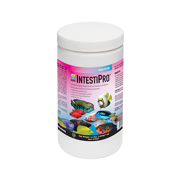 Hikari Interstipro 2.2 lbs - Effective quarantine & pest removal for both fresh & salty aquariums! Perfect for 4