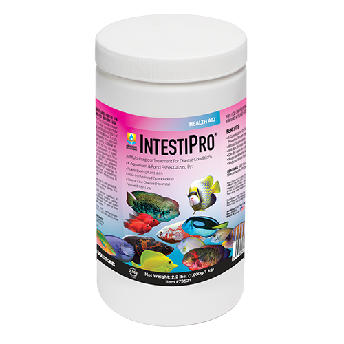 Hikari - INTESTIPRO - Image 2