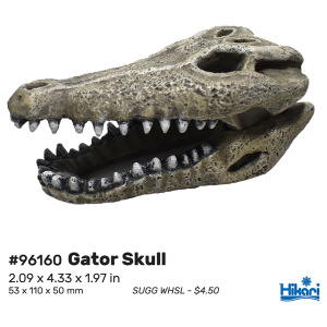 Gator Skull 4.1" Resin Decor for Fresh & Salty Aquariums - Dive into unique aquascaping fun with Hikari's quirky touch!