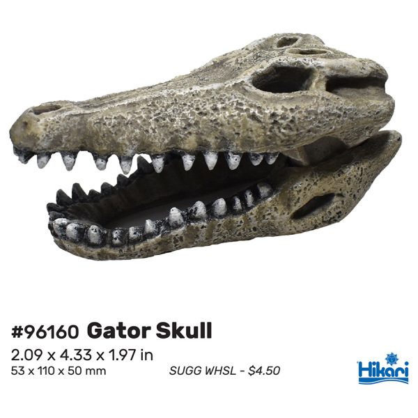 Gator Skull 4.1" Resin Decor for Fresh & Salty Aquariums - Dive into unique aquascaping fun with Hikari's quirky touch!