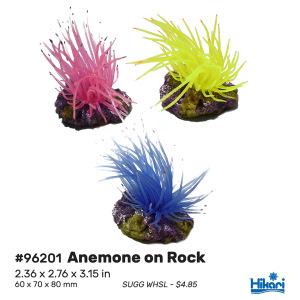 Colorful Hikari Anemone on Rock Decor - 3.1" | Perfect for Freshwater & Saltwater Aquariums! Dive into vibrant aquascaping!