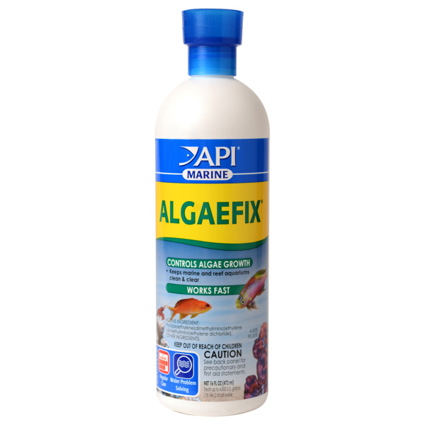 Marine AlgaeFix 16 oz by API: Your go-to solution for a clear
