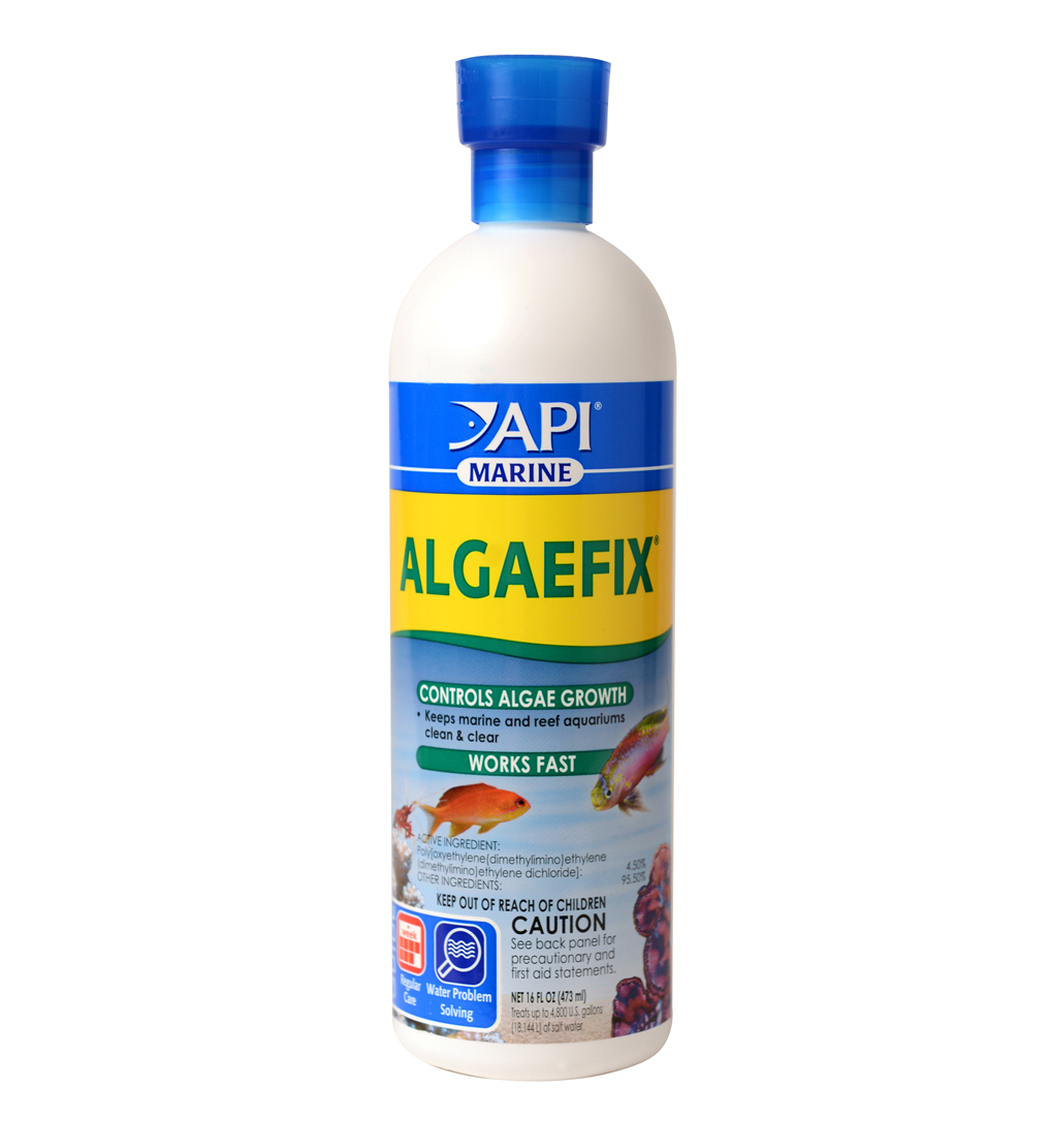 Clear Your Reef: Marine AlgaeFix 16oz | Algae Control Solution