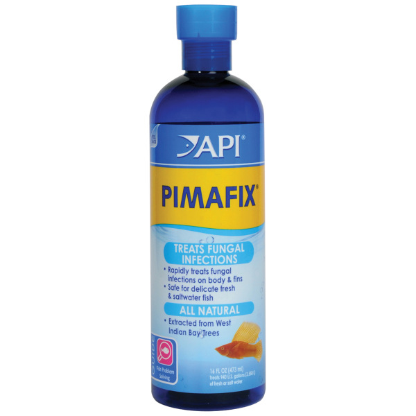 Pimafix Antifungal Treatment 16 oz by API - Your go-to remedy for fresh and salty aquarium health! Cure fungal infections with ease.