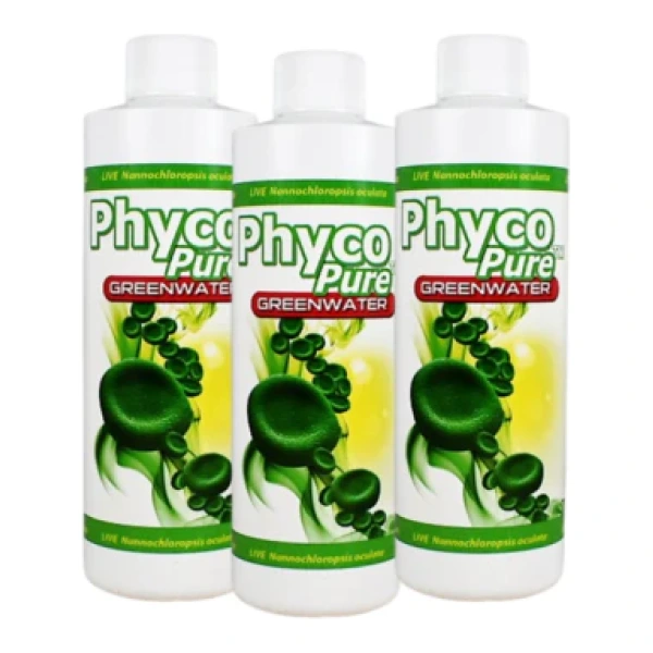 Phyco Pure Greenwater by AlgaGen