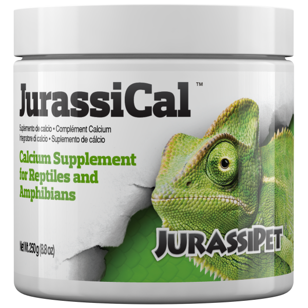 Seachem Cal Dry Food by JurassiPet