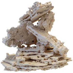 South Seas Premium Shelf Rock