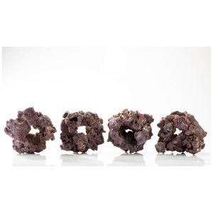CaribSea Life Rock Donuts
