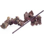 Reef Tree Extension Kit