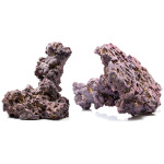 LifeRock Shrooms