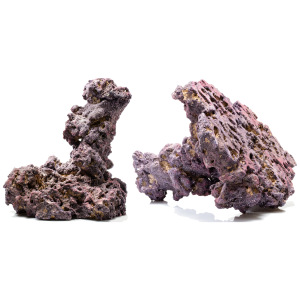 LifeRock Shrooms