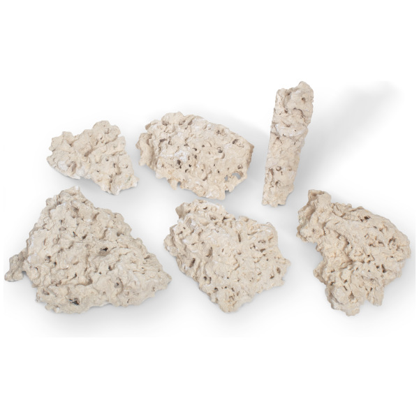 South Seas Base Rock Shelf