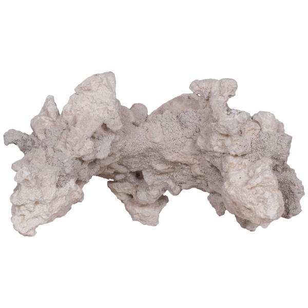 CaribSea South Seas Arches