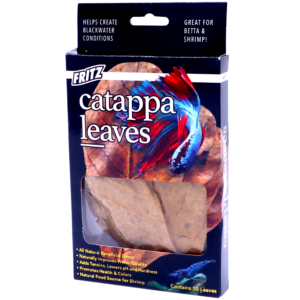 Fritz - Catappa Leaves - 10 count