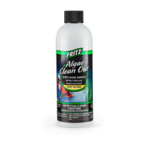 Fritz Algae Clean Out