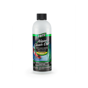 Fritz Algae Clean Out