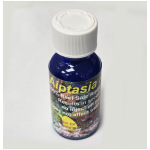 Sea Critters Brine Shrimp Flat Pack