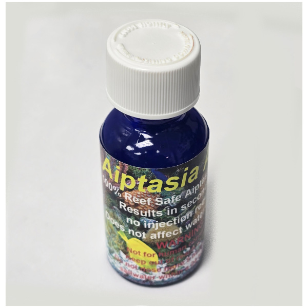 Sea Critters Brine Shrimp Flat Pack