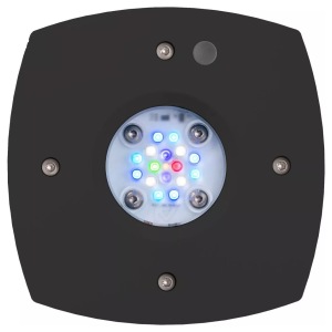 Prime 16 LED Reef Light in Black – Perfect size for vibrant reef tanks! Illuminate your aquatic world with AquaIllumination quality.