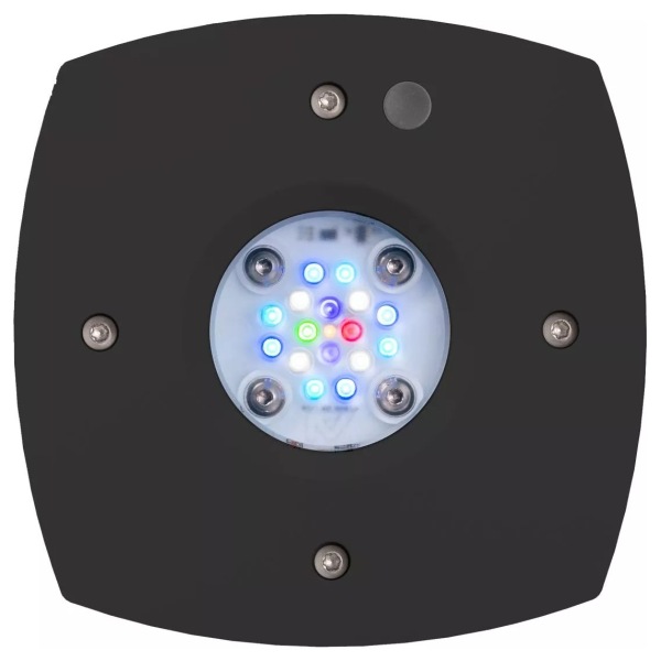 Prime 16 LED Reef Light in Black – Perfect size for vibrant reef tanks! Illuminate your aquatic world with AquaIllumination quality.