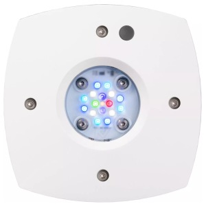 Prime 16 HD LED Reef lights by AquaIllumination - Perfect size for brightening your reef aquarium!