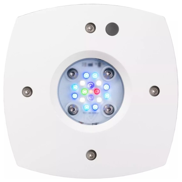 Prime 16 HD LED Reef lights by AquaIllumination - Perfect size for brightening your reef aquarium!