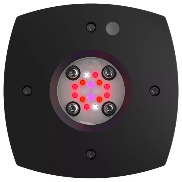 Illuminate your aquarium with AquaIllumination's Prime 16 HDLED Fuge lighting