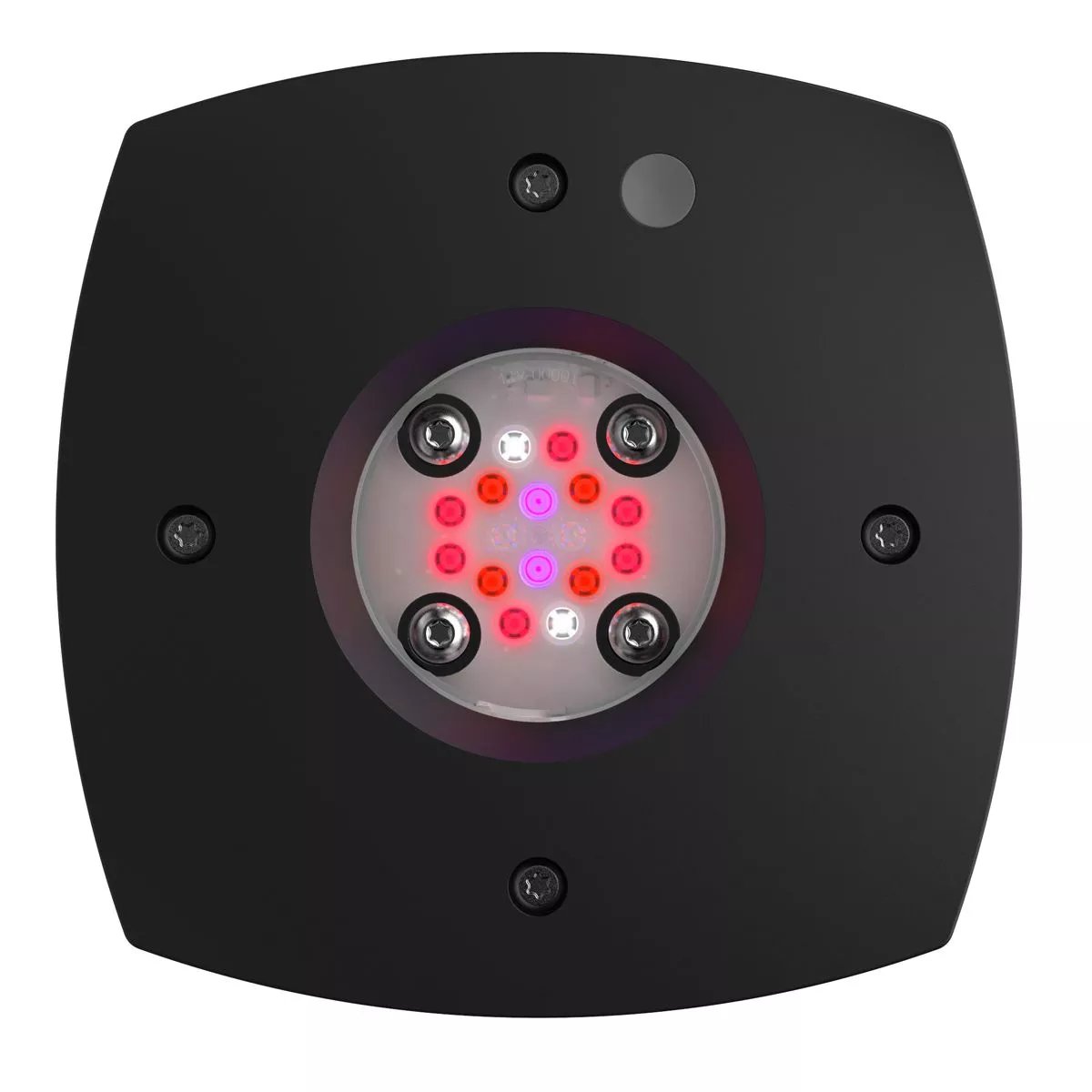 AI - Prime 16 HD Fuge - Black