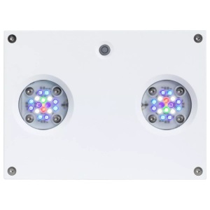 Aperture Hydra 32 HD LED Lighting for fresh and salty tanks – Illuminate your underwater wonders with AquaIllumination.