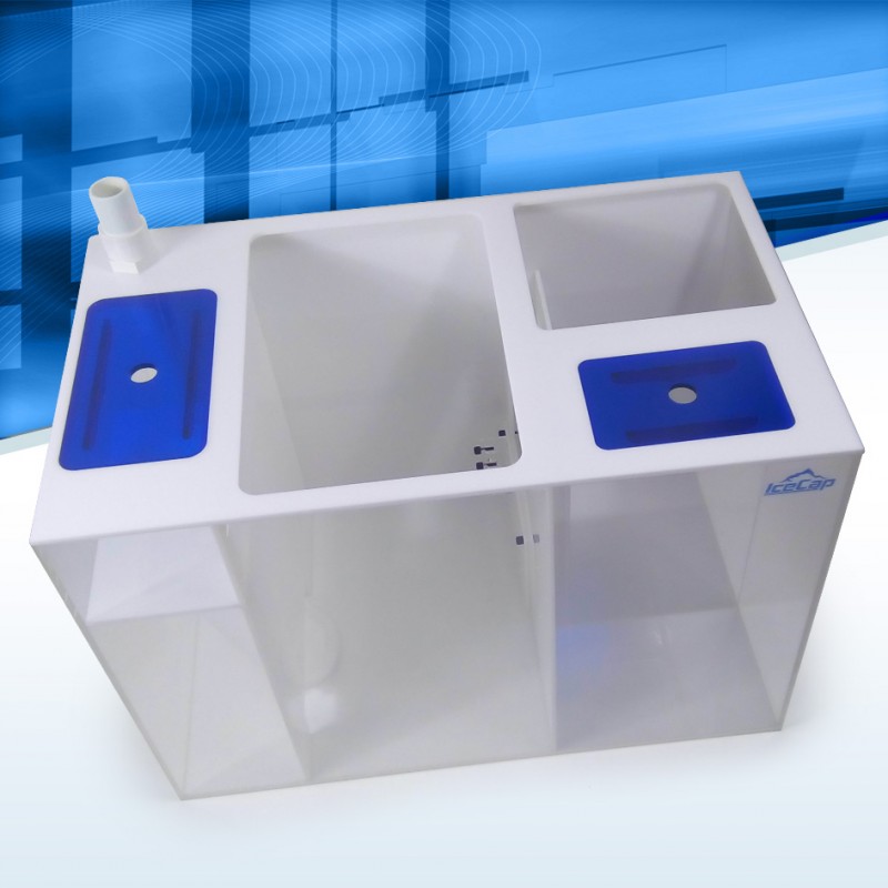 IC - Ice Cap Reef Sump 24