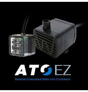 IC - Ice Cap ATO EZ