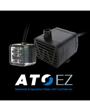 IC - Ice Cap ATO EZ