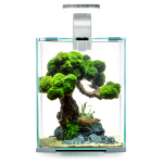 Aquael Shrimp Set 10