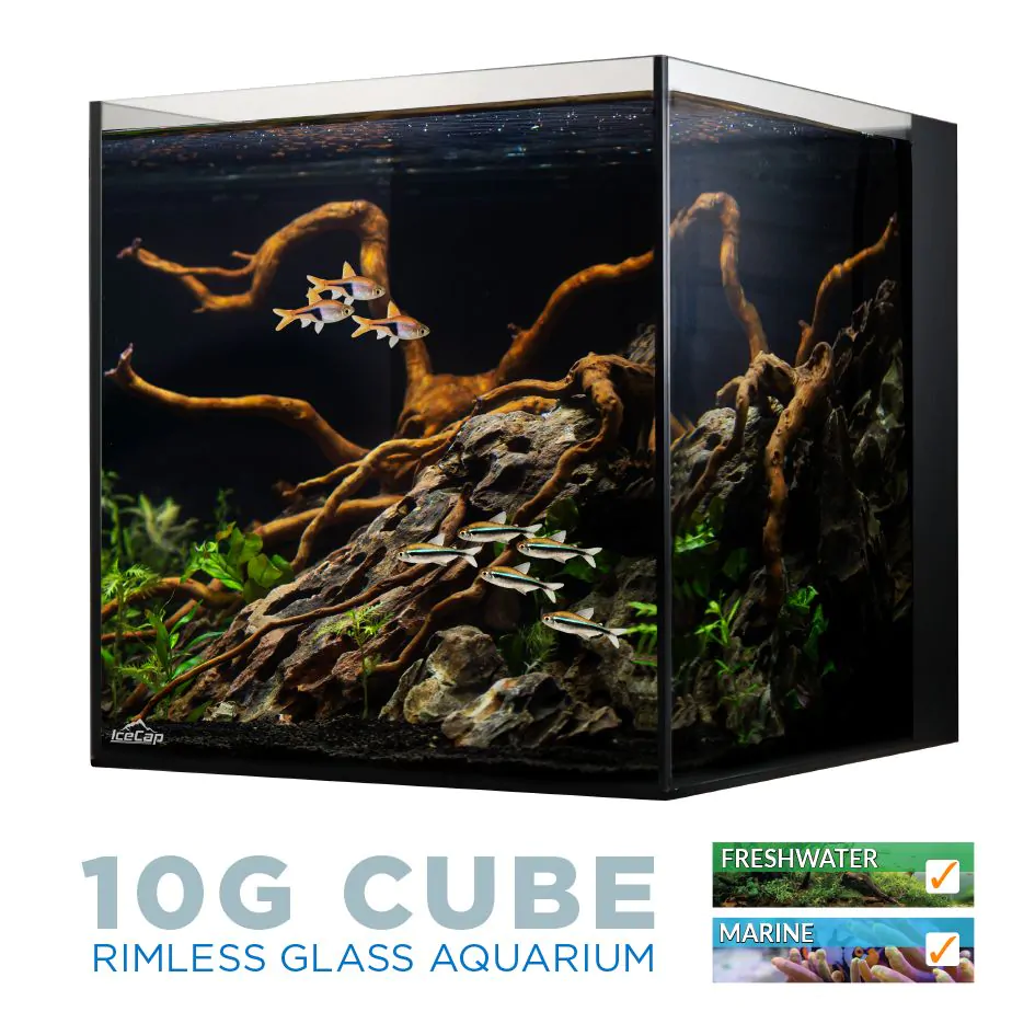 IC - Ice Cap Aquarium 10 gallon All-In-One
