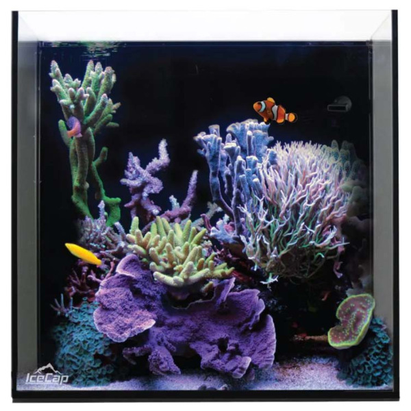 IceCap Aquarium 20 Gallon All-In-One by CoralVue - Perfect for both fresh and salty aquatic adventures in a compact setup!