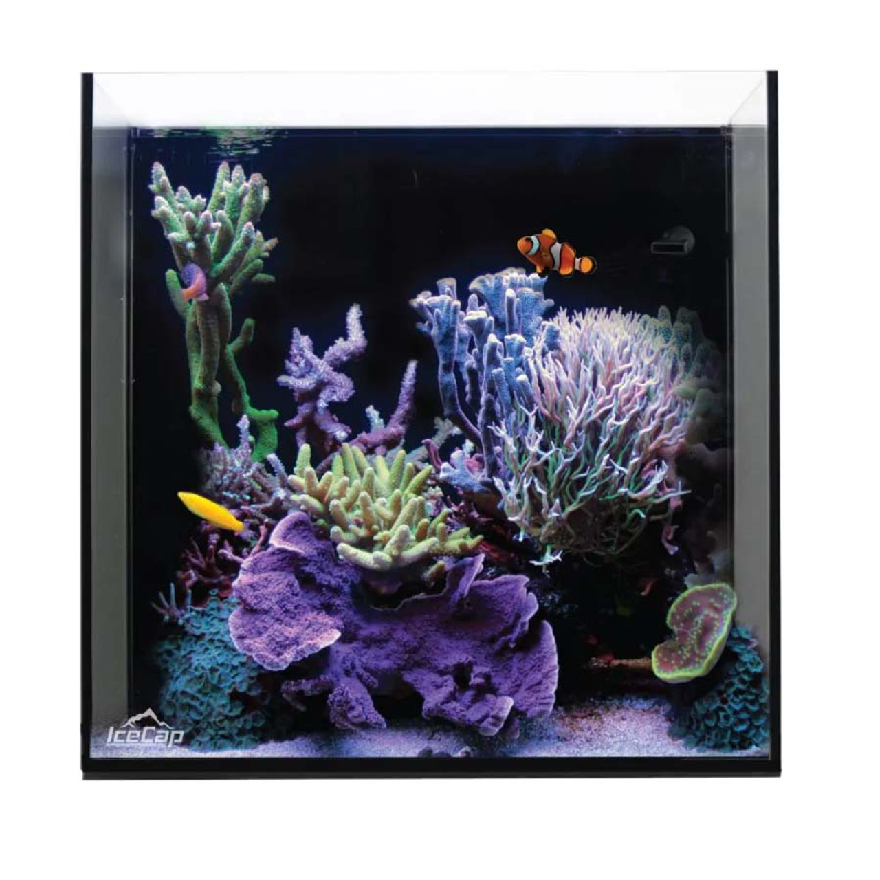 IC - Ice Cap Aquarium 20 gallon All-In-One