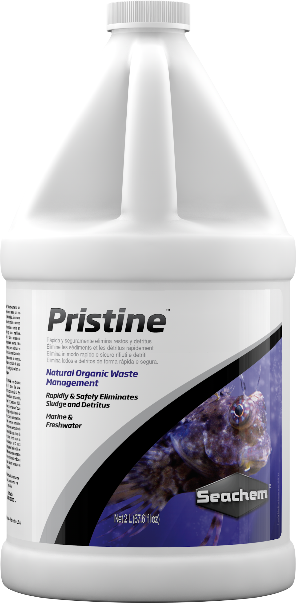 Pristine - Image 5